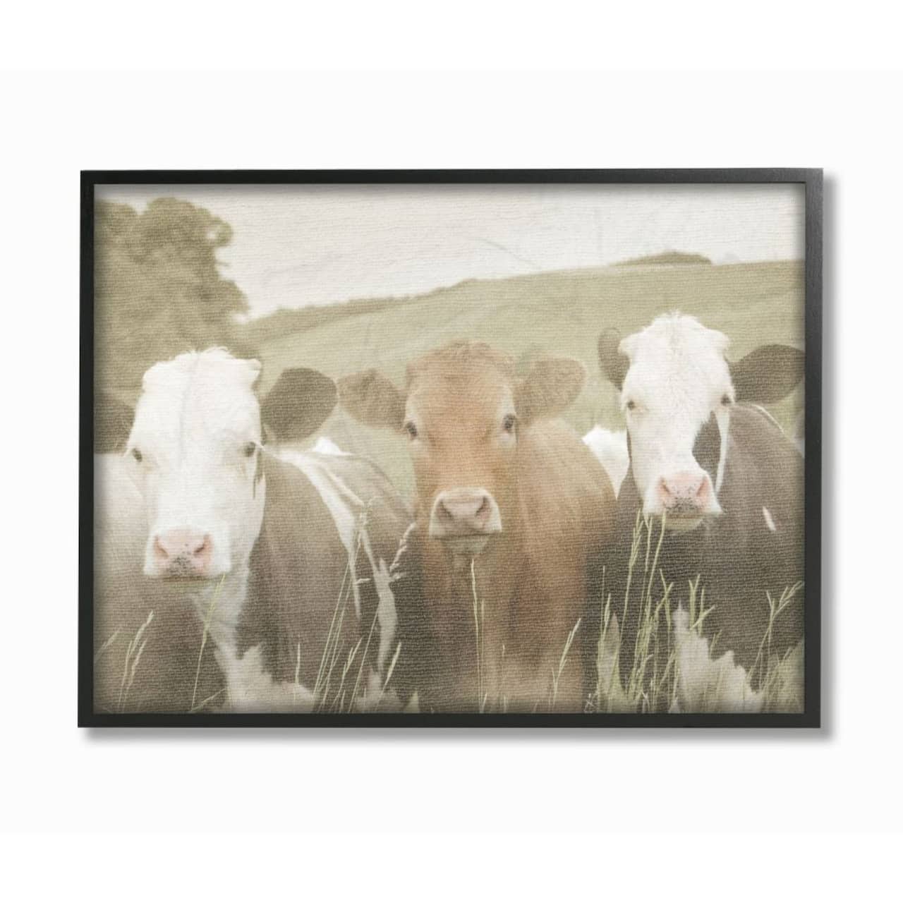 Stupell Industries Cows in the Field with Black Frame Wall Accent